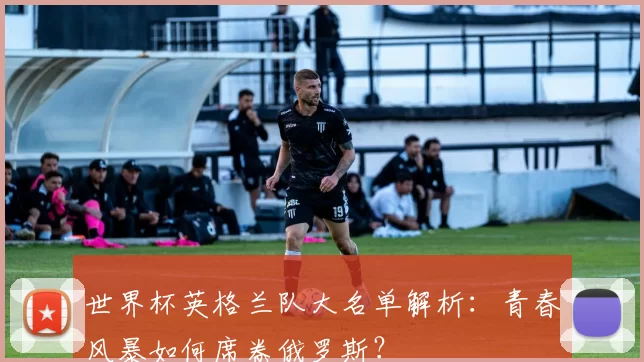 世界杯英格兰队大名单解析：青春风暴如何席卷俄罗斯？