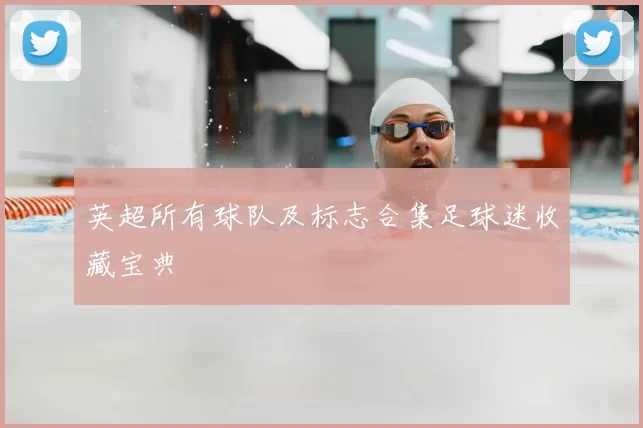 英超所有球队及标志合集足球迷收藏宝典