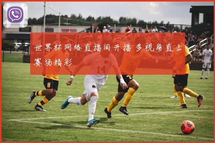 世界杯网络直播间开播 多视角直击赛场精彩