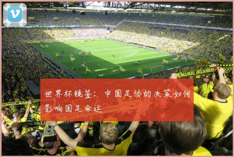 世界杯镜鉴:中国足协的决策如何影响国足命运