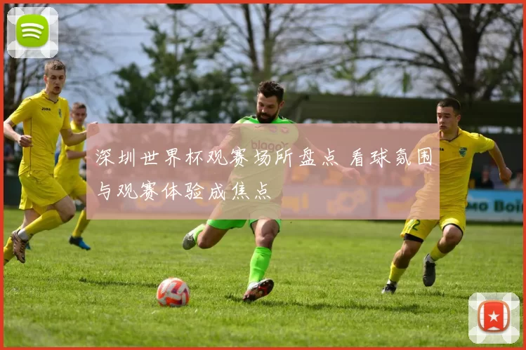深圳世界杯观赛场所盘点 看球氛围与观赛体验成焦点