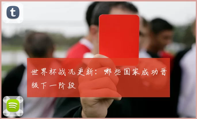世界杯战况更新:哪些国家成功晋级下一阶段