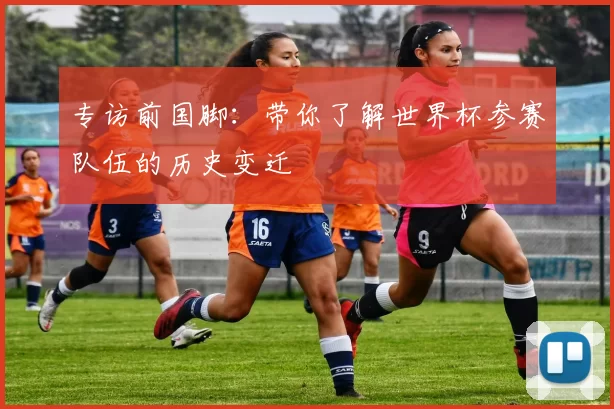 专访前国脚:带你了解世界杯参赛队伍的历史变迁