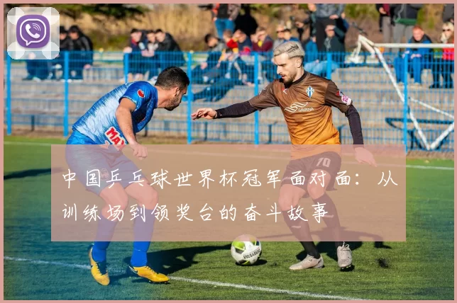 中国乒乓球世界杯冠军面对面：从训练场到领奖台的奋斗故事