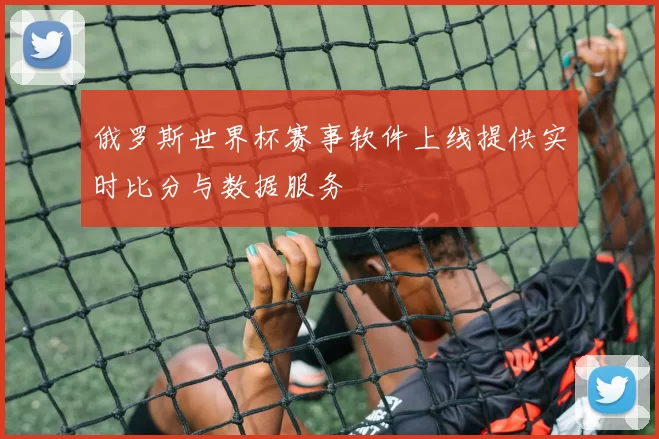 俄罗斯世界杯赛事软件上线提供实时比分与数据服务