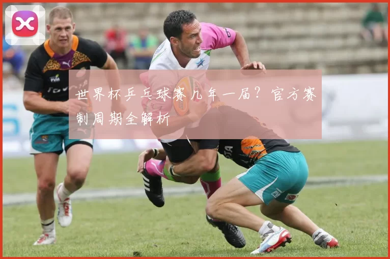 世界杯乒乓球赛几年一届？官方赛制周期全解析