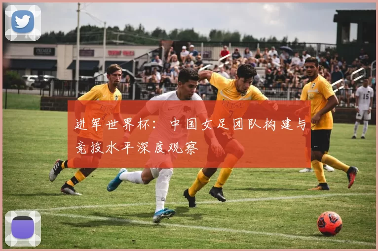 进军世界杯:中国女足团队构建与竞技水平深度观察