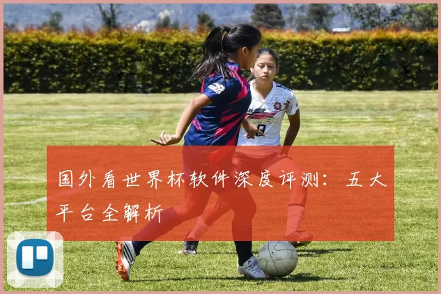 国外看世界杯软件深度评测：五大平台全解析