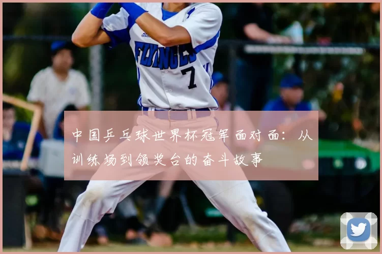 中国乒乓球世界杯冠军面对面：从训练场到领奖台的奋斗故事