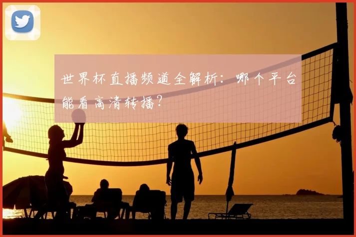 世界杯直播频道全解析：哪个平台能看高清转播？